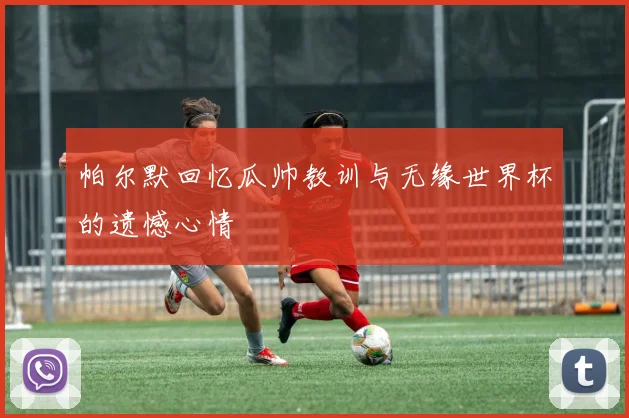 帕尔默回忆瓜帅教训与无缘世界杯的遗憾心情